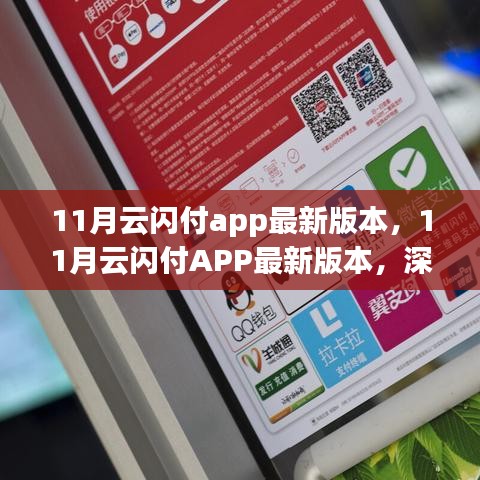 11月云闪付APP最新版本深度解析与用户体验阐述