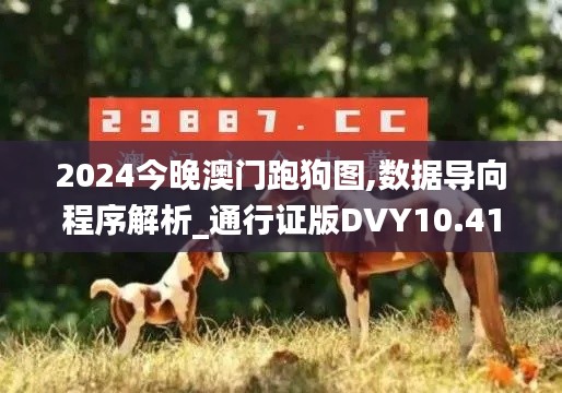 2024今晚澳门跑狗图,数据导向程序解析_通行证版DVY10.41