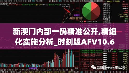 新澳门内部一码精准公开,精细化实施分析_时刻版AFV10.63