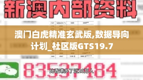 澳门白虎精准玄武版,数据导向计划_社区版GTS19.7