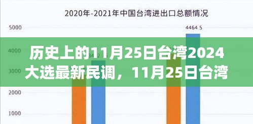 历史上的11月25日台湾2024大选最新民调，11月25日台湾大选日，一场关于民调与友情的小故事