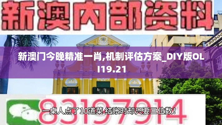 新澳门今晚精准一肖,机制评估方案_DIY版OLI19.21