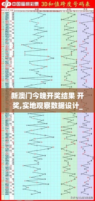 新澳门今晚开奖结果 开奖,实地观察数据设计_服务器版WEV19.82