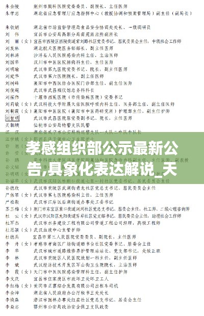 孝感组织部公示最新公告,具象化表达解说_天然版JWO19.9