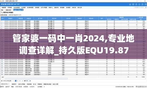 管家婆一码中一肖2024,专业地调查详解_持久版EQU19.87