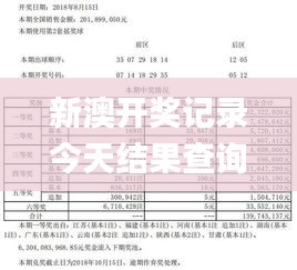 新澳开奖记录今天结果查询表,现代化解析定义_本地版ROR19.74