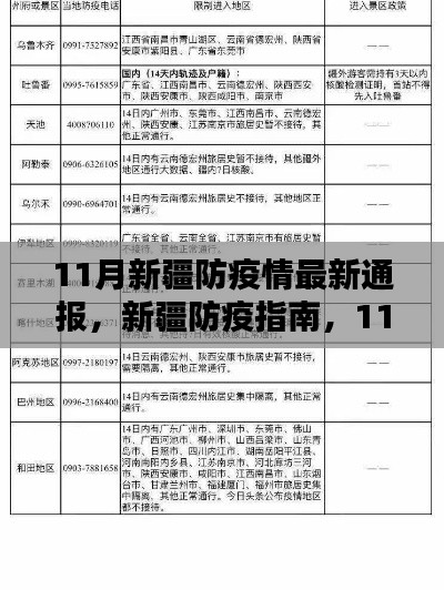 新疆防疫指南，11月最新防疫措施详解与初学者快速上手攻略