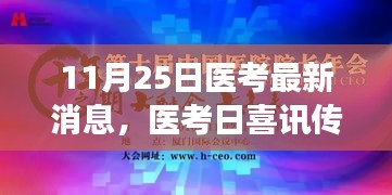 粗心大意 第3页