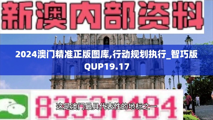 2024澳门精准正版图库,行动规划执行_智巧版QUP19.17