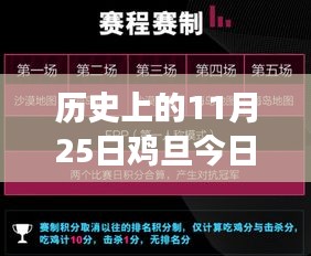 历史上的鸡旦今日最新价格揭秘，跨越时空的新纪元与未来交织的高科技鸡旦超凡体验。