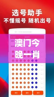 澳门今晚一肖必中,专业解读评估_任务版FNI19.29