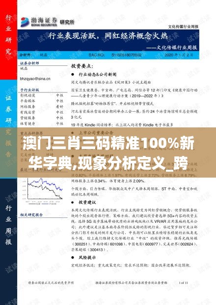 澳门三肖三码精准100%新华字典,现象分析定义_跨平台版EQD19.86