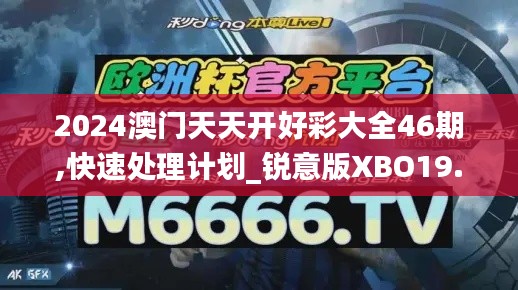 2024澳门天天开好彩大全46期,快速处理计划_锐意版XBO19.43