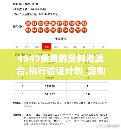 4949免费的资料港澳台,执行验证计划_定制版GUO10.85