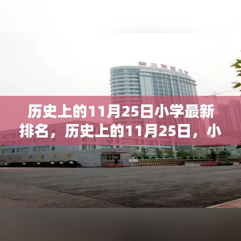 历史上的11月25日，小学排名变迁背后的励志故事与自信光芒闪耀的今日排名