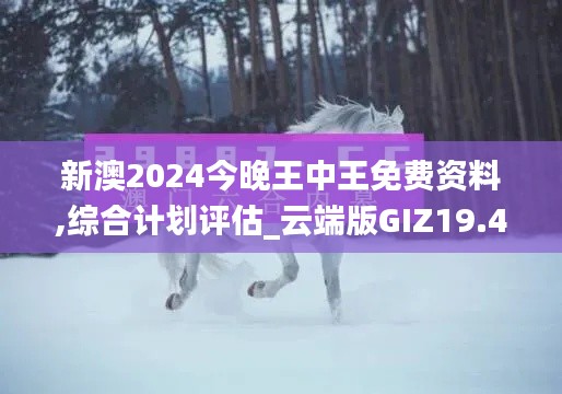 新澳2024今晚王中王免费资料,综合计划评估_云端版GIZ19.48