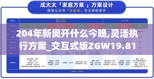 204年新奥开什么今晚,灵活执行方案_交互式版ZGW19.81