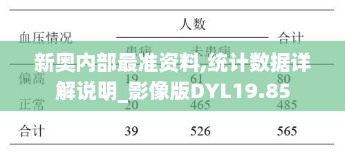 新奥内部最准资料,统计数据详解说明_影像版DYL19.85