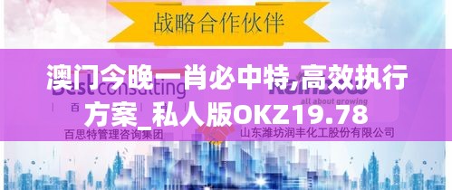 澳门今晚一肖必中特,高效执行方案_私人版OKZ19.78