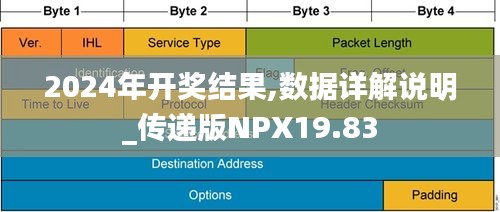 2024年开奖结果,数据详解说明_传递版NPX19.83