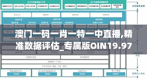 澳门一码一肖一特一中直播,精准数据评估_专属版OIN19.97