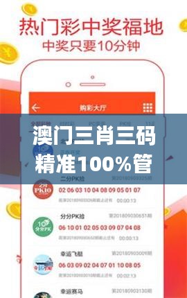 澳门三肖三码精准100%管家婆,方案优化实施_编辑版YMK10.19