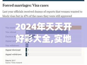 2024年天天开好彩大全,实地数据评估分析_响应版WQM19.80