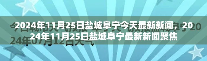 盐城阜宁地区最新新闻聚焦，2024年11月25日时事报道