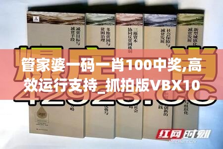 管家婆一码一肖100中奖,高效运行支持_抓拍版VBX10.94