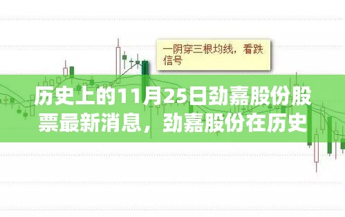 劲嘉股份11月25日最新消息引发的多维度思考及历史影响分析