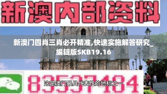 新澳门四肖三肖必开精准,快速实施解答研究_编辑版SKB19.16