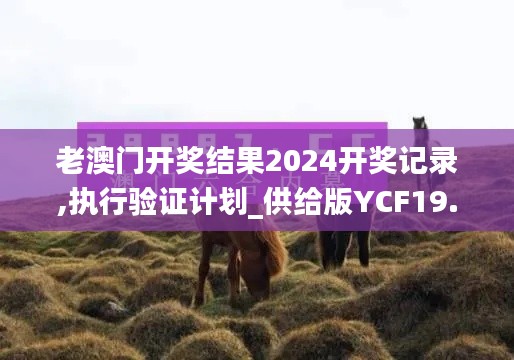 老澳门开奖结果2024开奖记录,执行验证计划_供给版YCF19.80