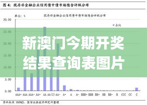 新澳门今期开奖结果查询表图片,高度协调实施_持久版QWV19.39