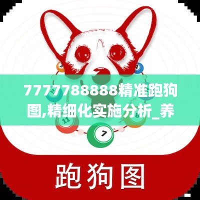 7777788888精准跑狗图,精细化实施分析_养生版JTV10.69