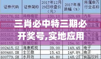 三肖必中特三期必开奖号,实地应用实践解读_快捷版DJP19.61