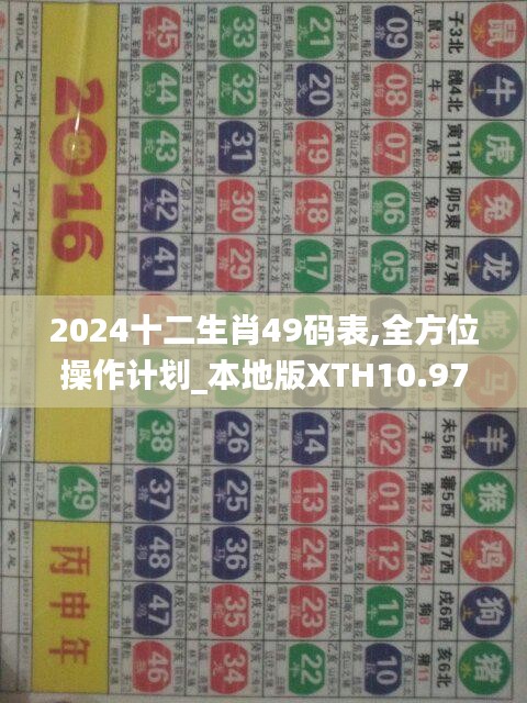 2024十二生肖49码表,全方位操作计划_本地版XTH10.97