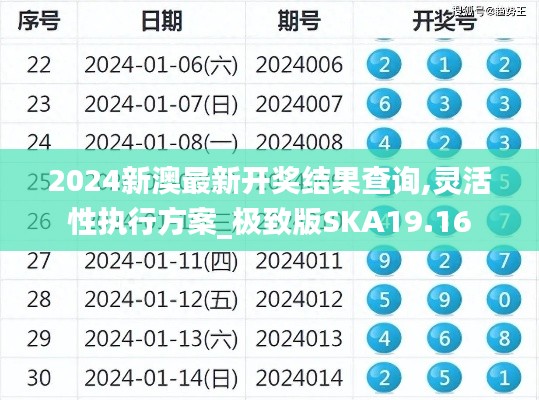 2024新澳最新开奖结果查询,灵活性执行方案_极致版SKA19.16