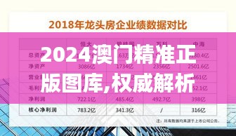 2024澳门精准正版图库,权威解析方法_定向版OQD19.39