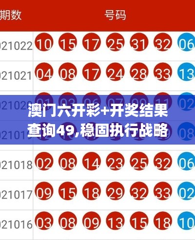 澳门六开彩+开奖结果查询49,稳固执行战略分析_SE版TFK19.82