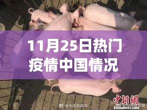 中国疫情最新动态解析，现状与发展趋势深度探讨（11月25日热门报告）