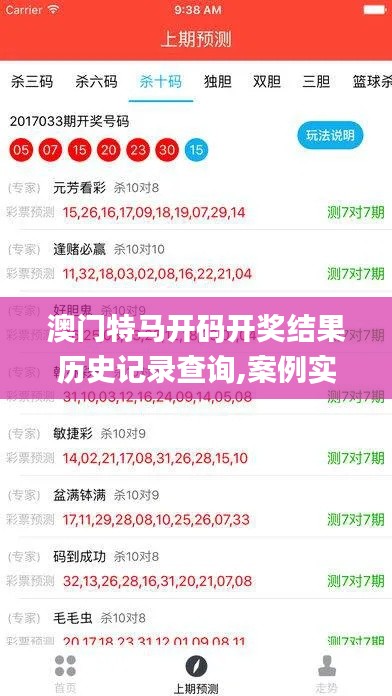 澳门特马开码开奖结果历史记录查询,案例实证分析_影音版EQE19.80