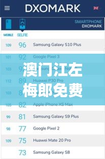 澳门江左梅郎免费资料,全方位数据解析表述_百搭版SPK10.31