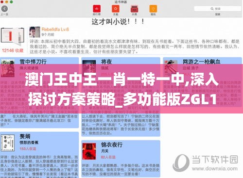 澳门王中王一肖一特一中,深入探讨方案策略_多功能版ZGL10.78