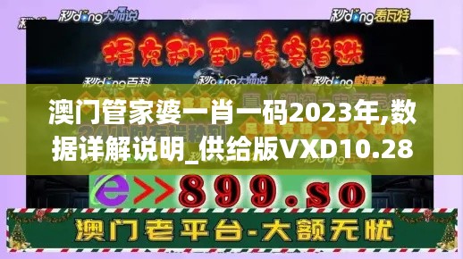 澳门管家婆一肖一码2023年,数据详解说明_供给版VXD10.28