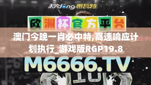 澳门今晚一肖必中特,高速响应计划执行_游戏版RGP19.8