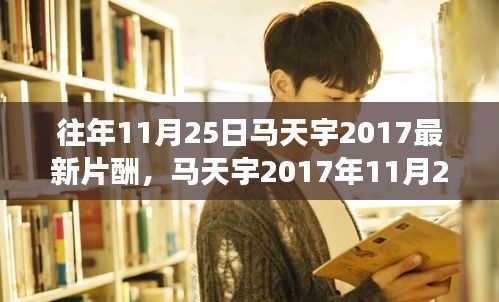 马天宇最新片酬揭秘，演艺特性、用户体验与市场竞争力分析（2017年11月25日）