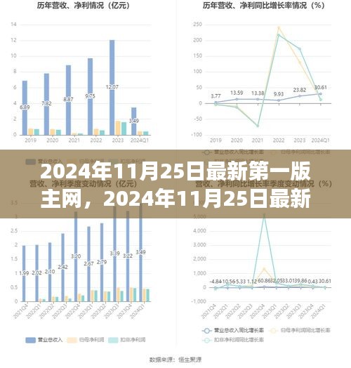 某某观点下的深度剖析，2024年最新版主网探析与预测