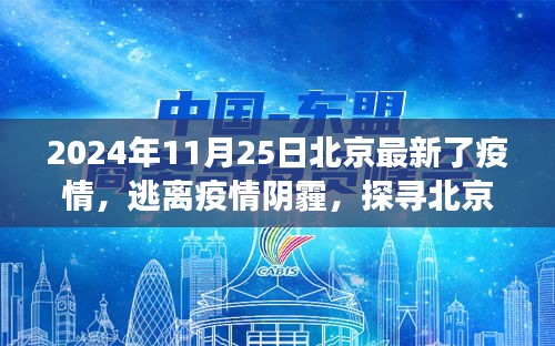 北京疫情最新动态下的自然秘境之旅，探寻希望之光（2024年11月25日）