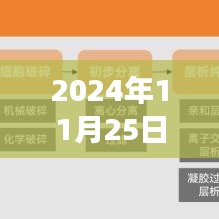 2024年11月25日通讯新闻，科技革新、社会变革与全球动态