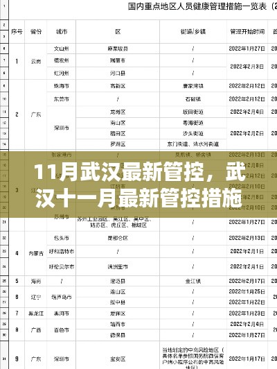 武汉十一月最新管控措施全面解析